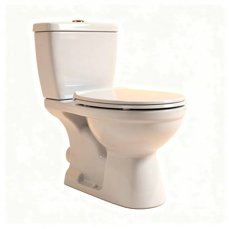 Remplacement de WC Athis-Mons