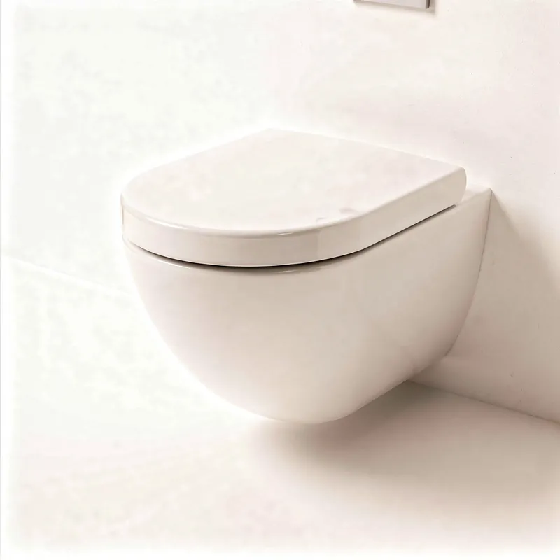 Pose WC Suspendu Athis-Mons